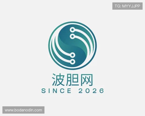 介绍波胆